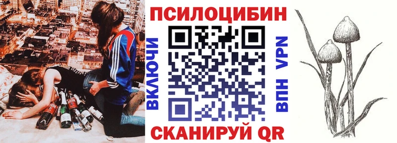Галлюциногенные грибы Magic Shrooms  Александровск 
